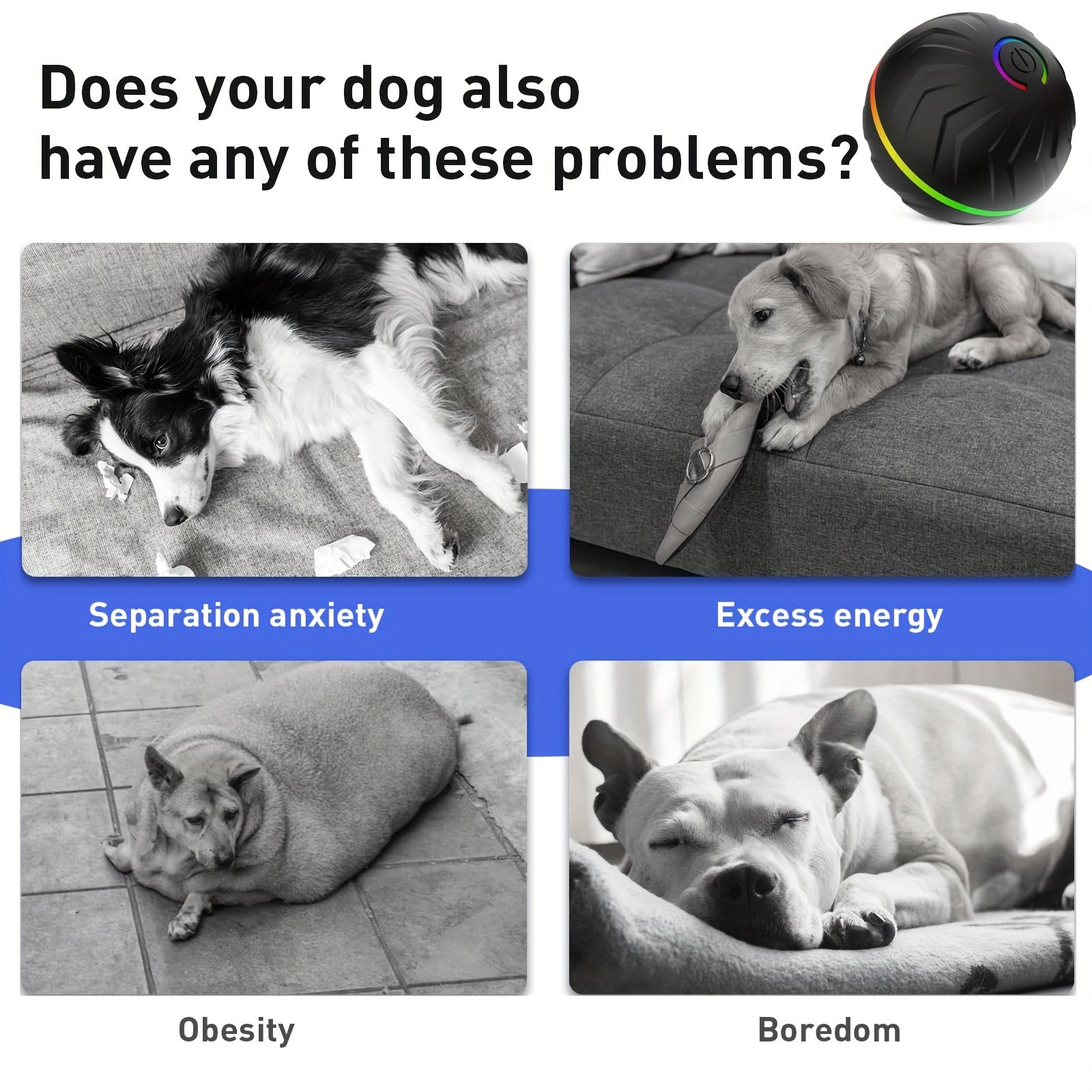 Pet Smart Bouncing Ball Interactive Dog Ball 6.6 cm/2.62 in Large Size - Wize - Z