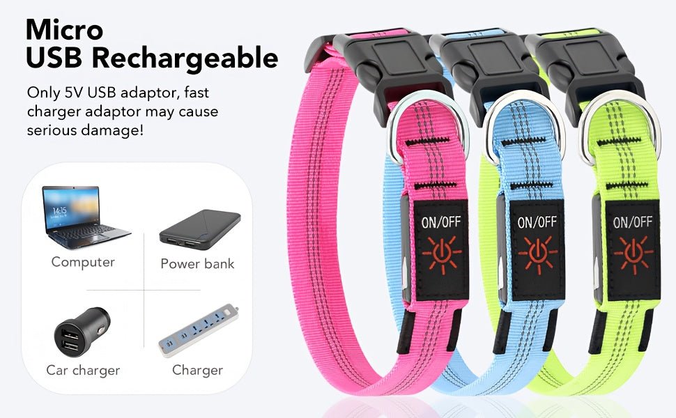 Rechargeable LED Dog Collar with USB - Powered Lighting - Wize - Z