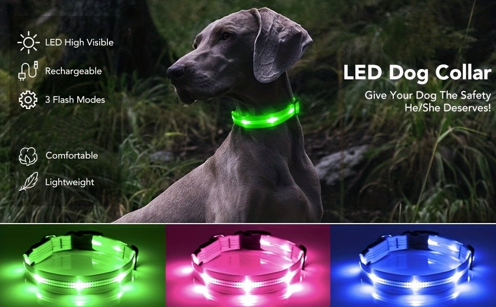 Rechargeable LED Dog Collar with USB - Powered Lighting - Wize - Z