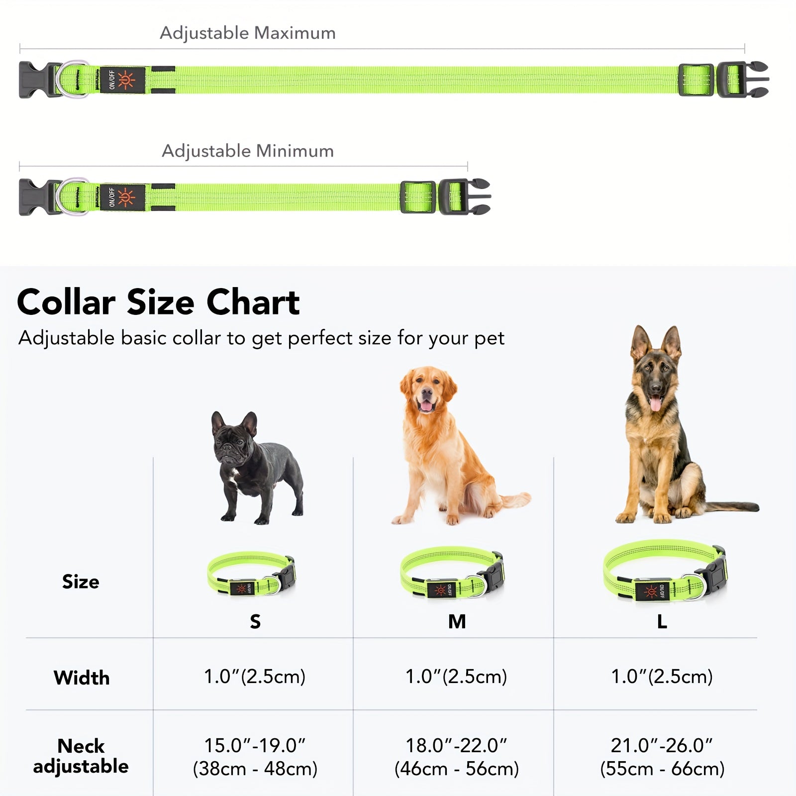 Rechargeable LED Dog Collar with USB - Powered Lighting - Wize - Z