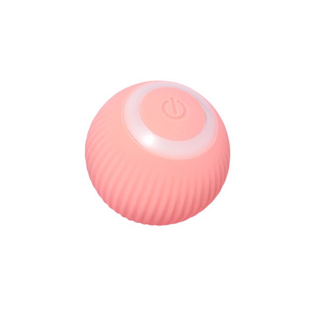 Smart Cat Ball Toys - Wize - Z