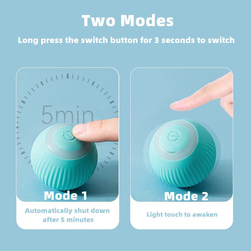 Smart Cat Ball Toys - Wize - Z