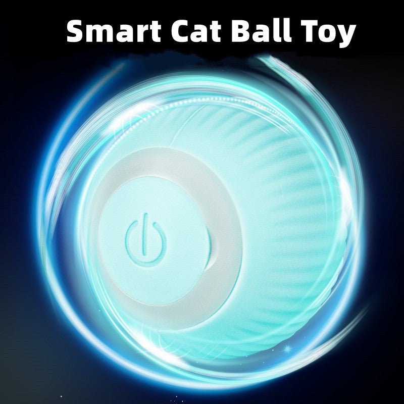 Smart Cat Ball Toys - Wize - Z