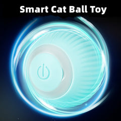 Smart Cat Ball Toys - Wize - Z