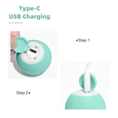 Smart Cat Ball Toys - Wize - Z