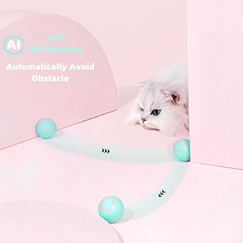 Smart Cat Ball Toys - Wize - Z