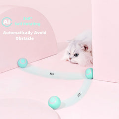 Smart Cat Ball Toys - Wize - Z