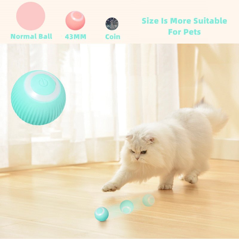 Smart Cat Ball Toys - Wize - Z