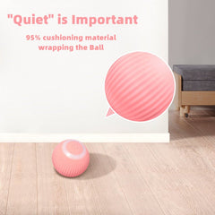 Smart Cat Ball Toys - Wize - Z