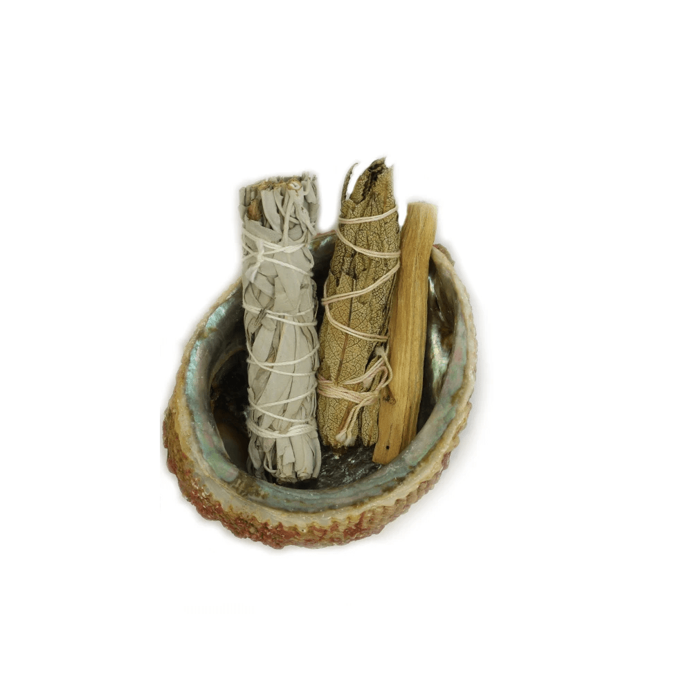 Smudge Ash Tray Burner - Abalone shell - Large 5" - 6" - Wize - Z