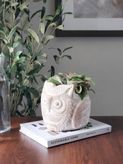 Terracotta Pot - Horned Owl - Wize - Z
