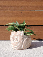 Terracotta Pot - Horned Owl - Wize - Z