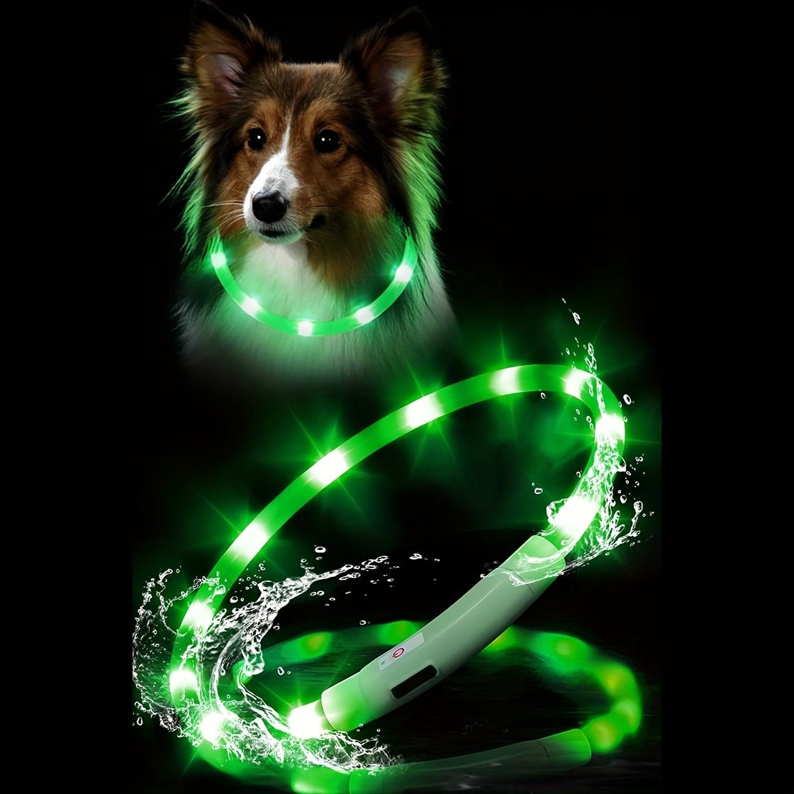 USB Rechargeable LED Dog Collar - Wize - Z