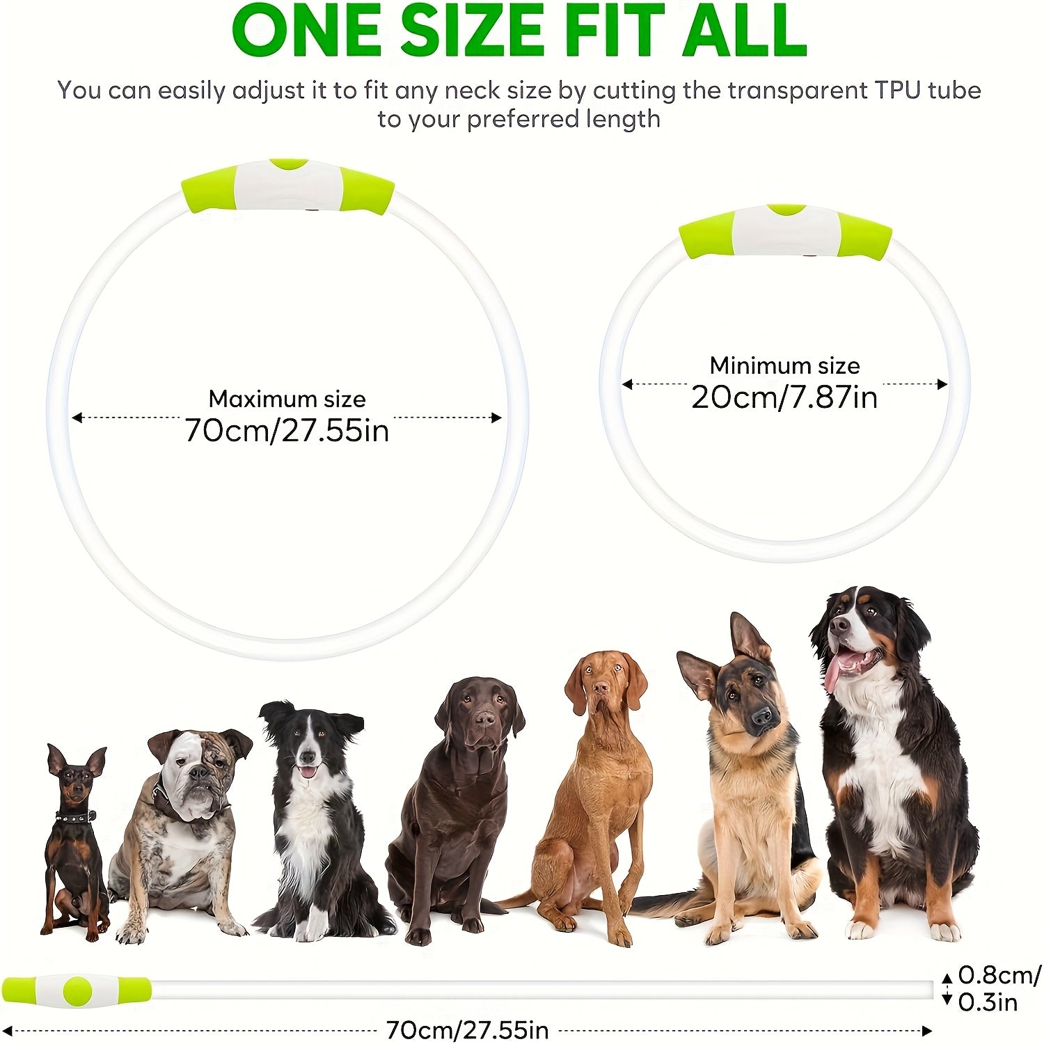 USB Rechargeable LED Dog Collar - Wize - Z