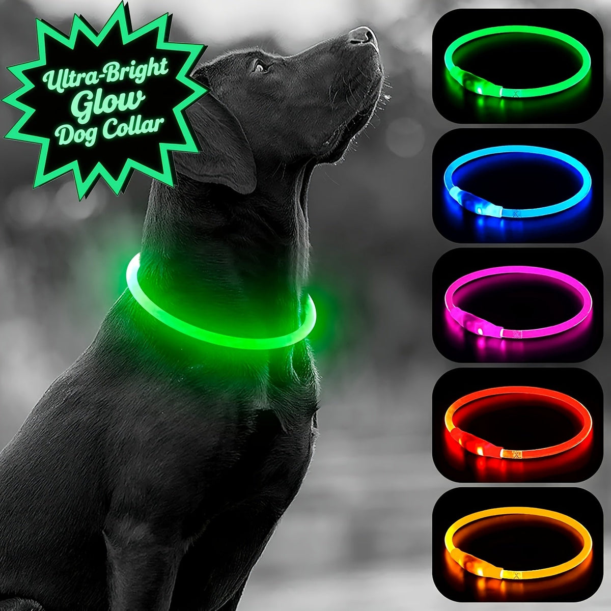 USB Rechargeable LED Dog Collar - Wize - Z