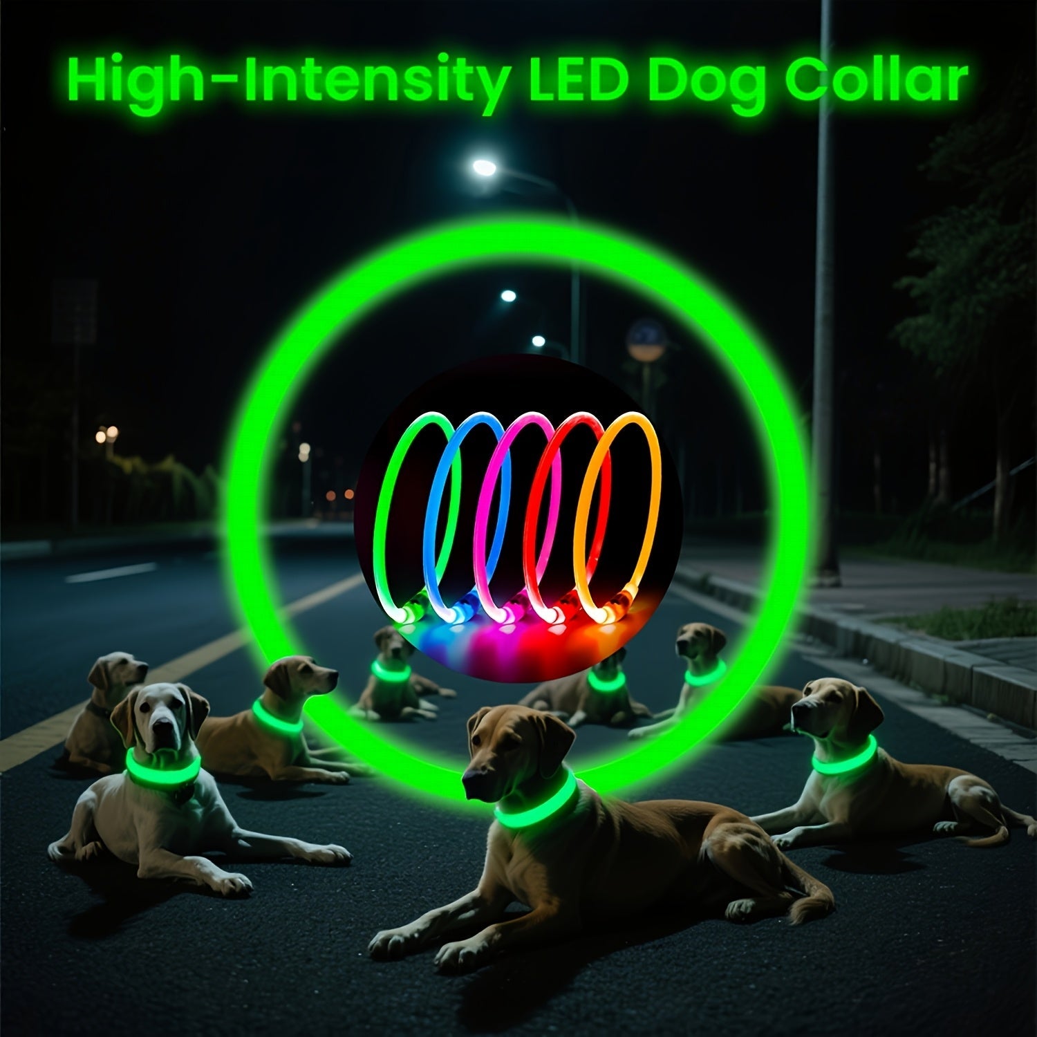 USB Rechargeable LED Dog Collar - Wize - Z