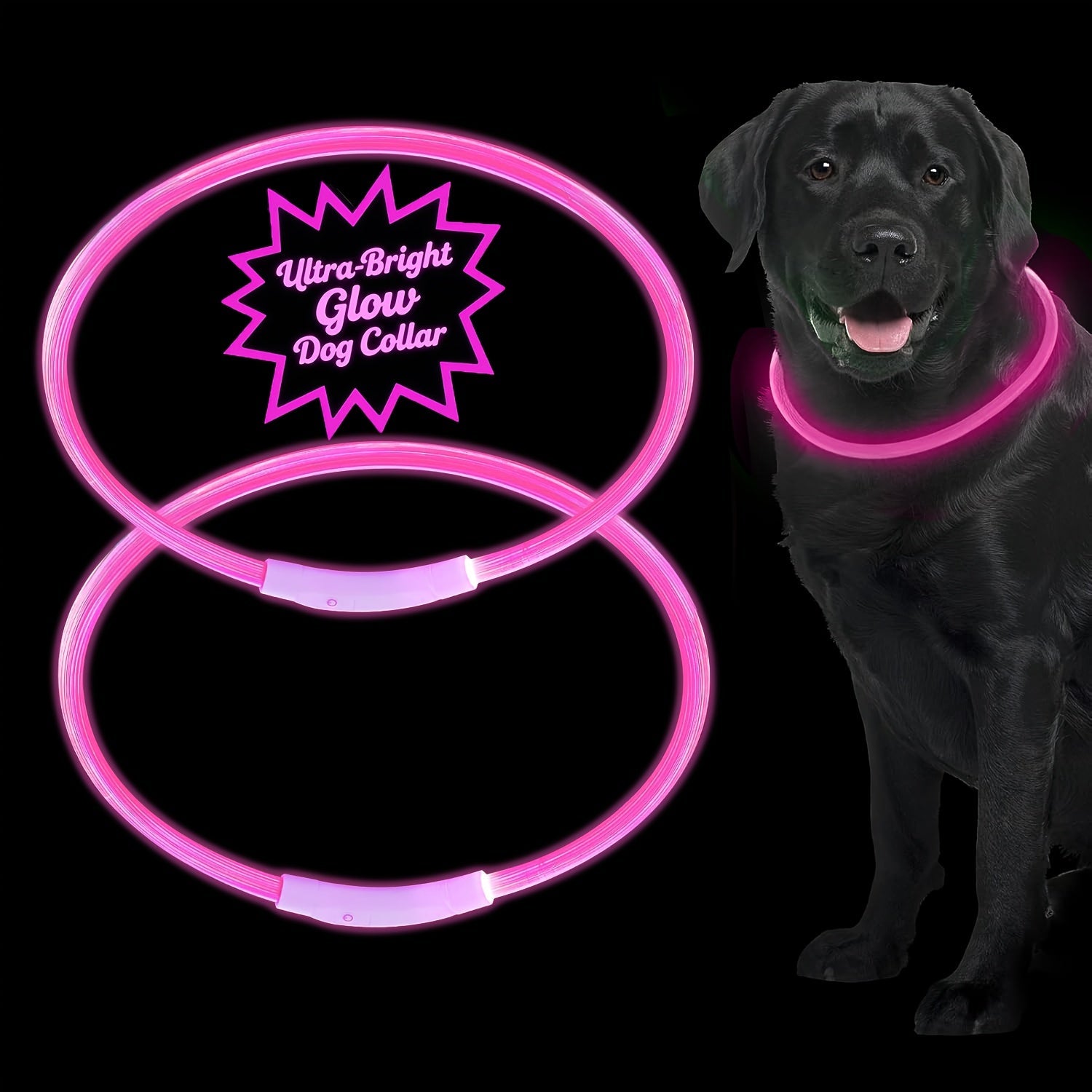USB Rechargeable LED Dog Collar - Wize - Z